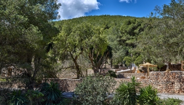 Resa Esatates for sale finca st rafael Ibiza modern 1 campo 3.jpg